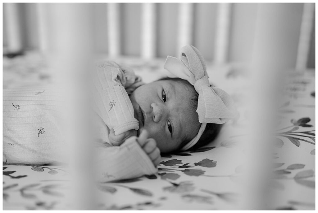 baby newborn session